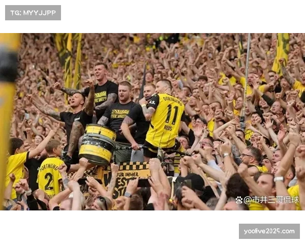 调查：德甲上座率连续五年增长，多特主场上座率再破欧洲纪录